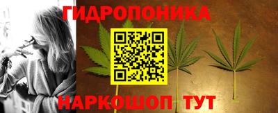 гидра Тулун