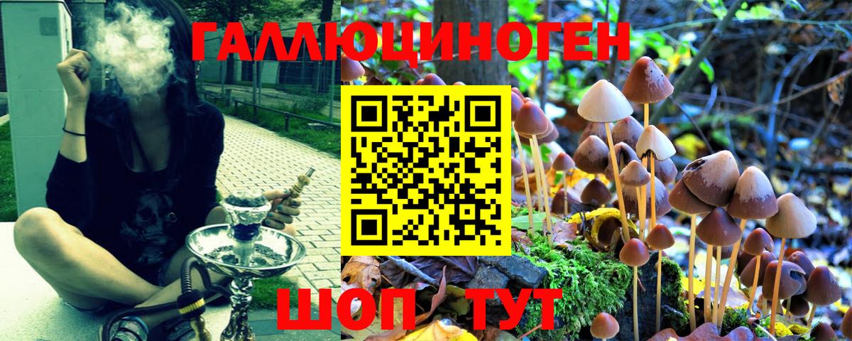 Галлюциногенные грибы GOLDEN TEACHER Будённовск