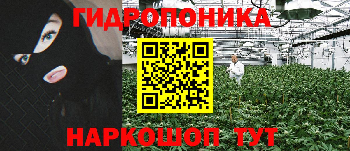 Каннабис SATIVA & INDICA  Вход с VPN  Будённовск  Бошки марихуана VHQ  Канабис индика 